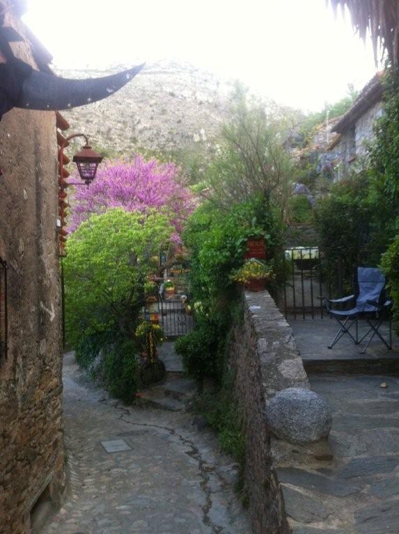 Bed and breakfast La Figuera